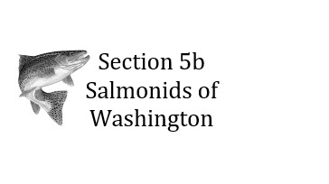 Section 5b Salmonids of Washington