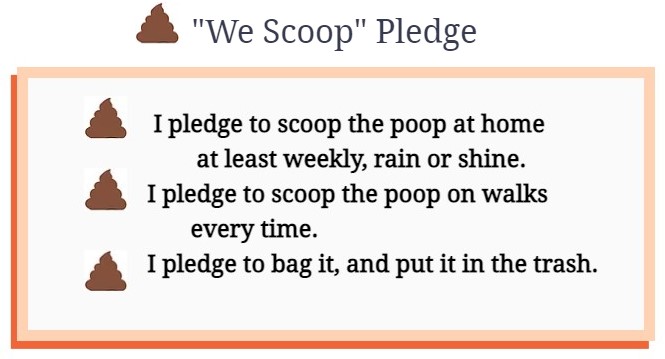 We Scoop pledge