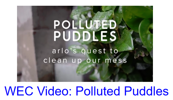 Polluted Puddles video